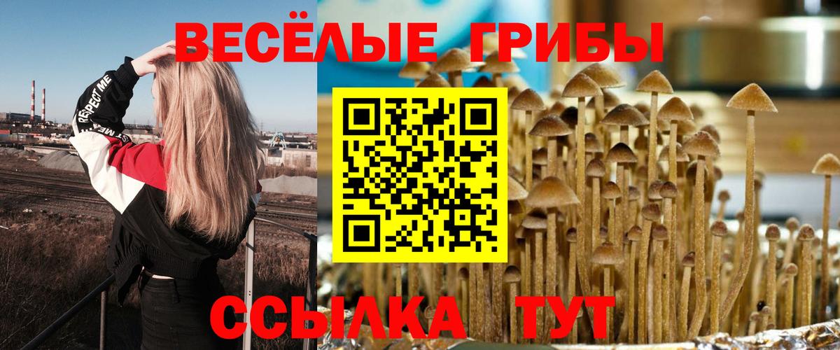 Псилоцибиновые грибы прущие грибы  Галлюциногенные грибы MAGIC MUSHROOMS  Ивантеевка  цена наркотик  Вход с VPN 