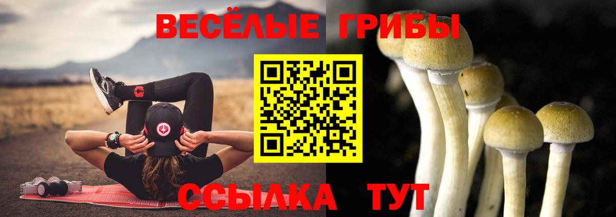 Псилоцибиновые грибы Magic Shrooms Ивантеевка